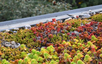 the cost of Hallworthy green roof installation